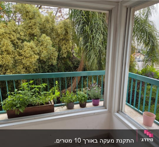 עציצים על אדן חלון עם מסגרת ירוקה